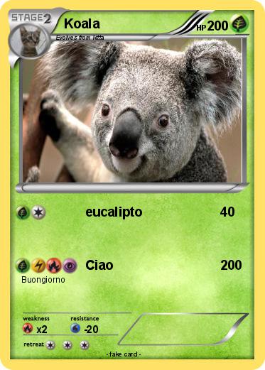 Pokemon Koala