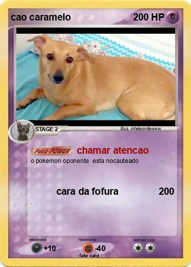 Pokemon cao caramelo