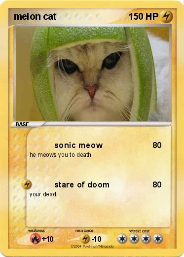 Pokemon melon cat