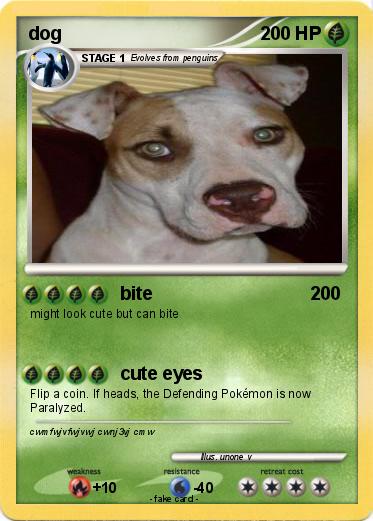 Pokemon dog