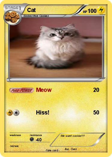 Pokemon Cat