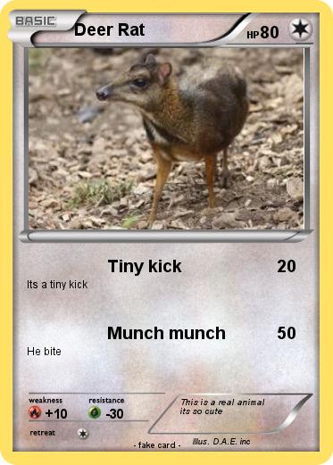 Pokemon Deer Rat