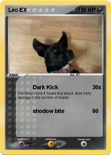 Pokemon Leo EX
