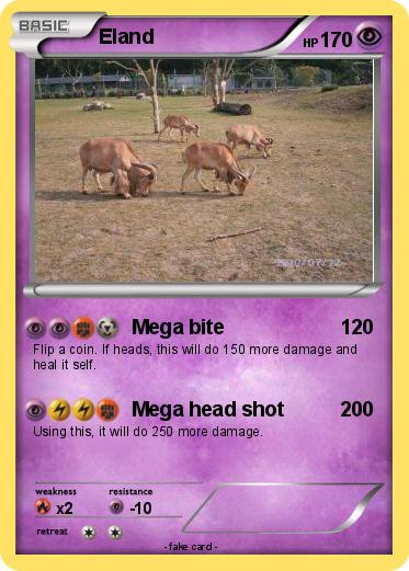 Pokemon Eland