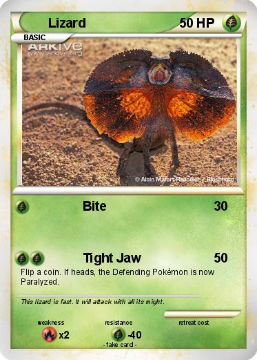 Pokemon Lizard