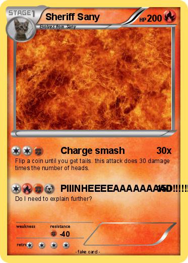 Pokemon Sheriff Sany