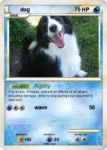 Pokemon dog