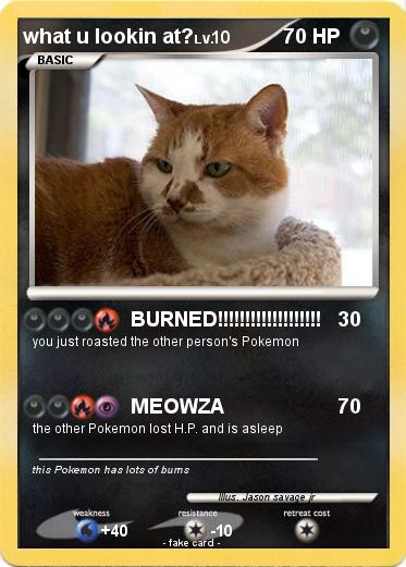 Pokemon what u lookin at?