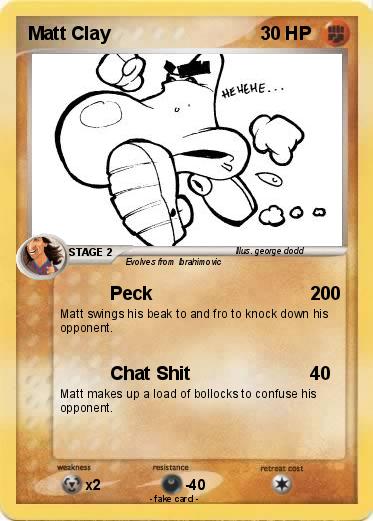 Pokemon Matt Clay