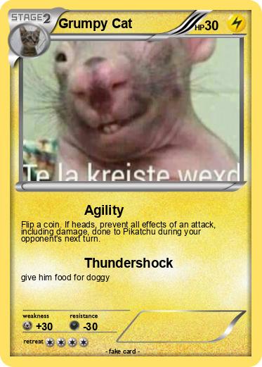 Pokemon Grumpy Cat