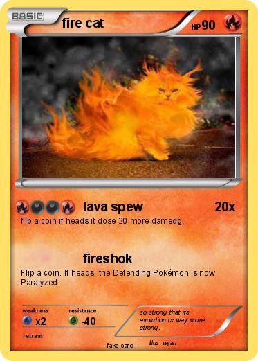 Pokemon fire cat