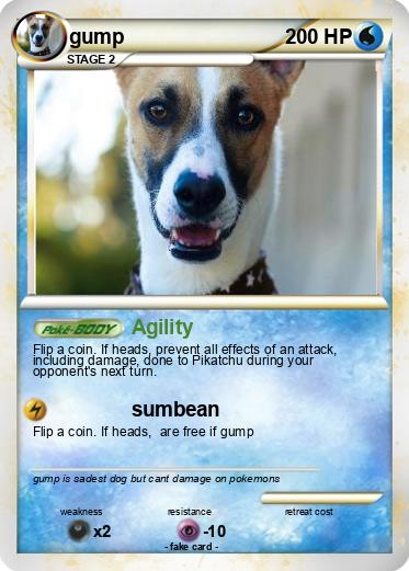Pokemon gump