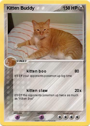 Pokemon Kitten Buddy