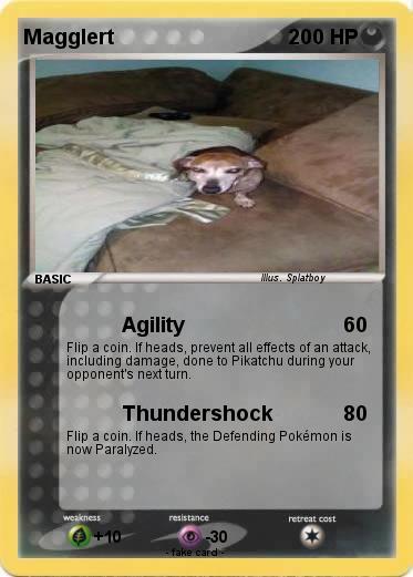 Pokemon Magglert