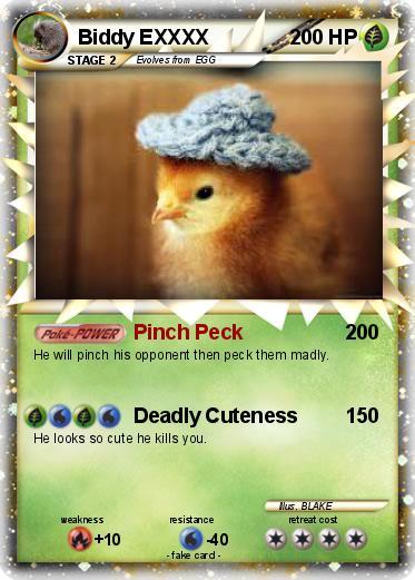 Pokemon Biddy EXXXX