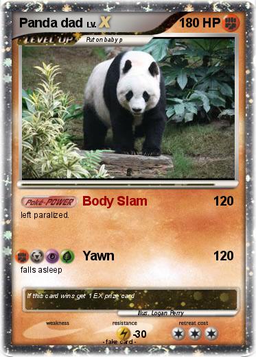 Pokemon Panda dad