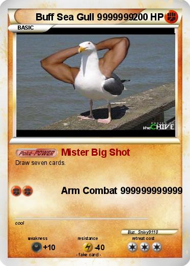 Pokemon Buff Sea Gull 9999999
