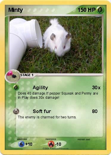 Pokemon Minty