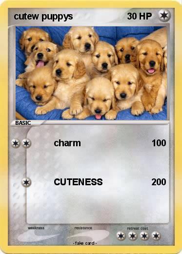 Pokemon cutew puppys