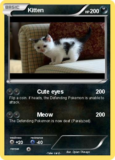 Pokemon Kitten