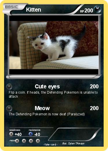 Pokemon Kitten