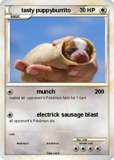 Pokemon tasty puppyburrito