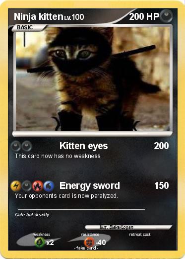 Pokemon Ninja kitten