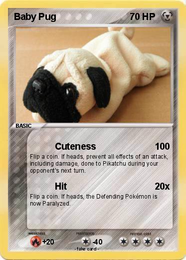 Pokemon Baby Pug