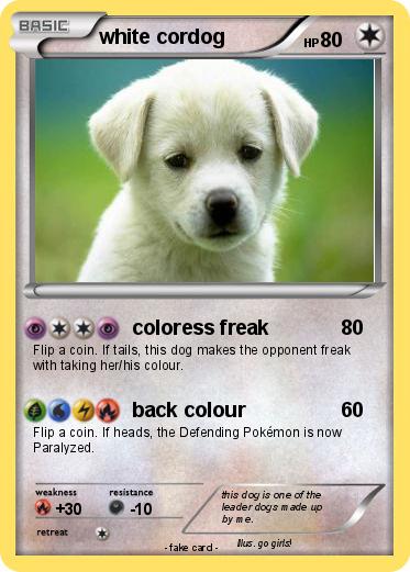Pokemon white cordog