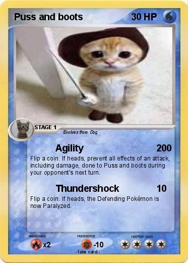 Pokemon Puss and boots