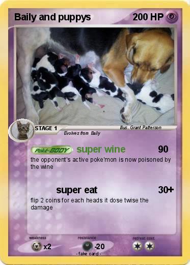 Pokemon Baily and puppys