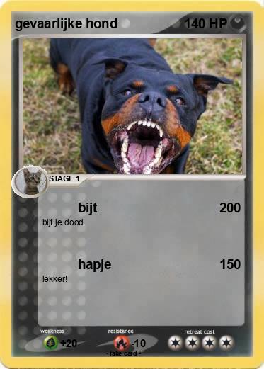 Pokemon gevaarlijke hond