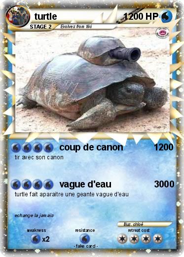 Pokemon turtle                          1