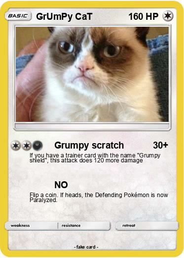 Pokemon GrUmPy CaT