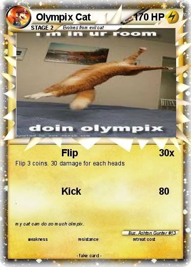 Pokemon Olympix Cat
