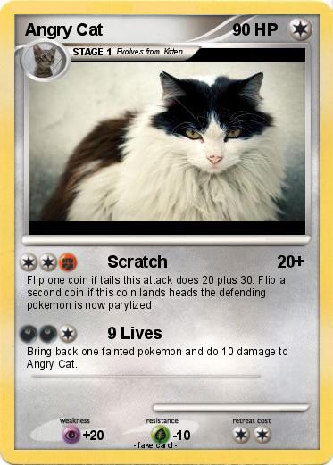 Pokemon Angry Cat