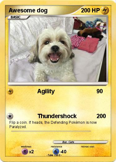 Pokemon Awesome dog