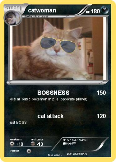 Pokemon catwoman