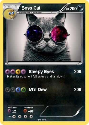 Pokemon Boss Cat