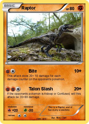Pokemon Raptor
