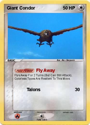 Pokemon Giant Condor