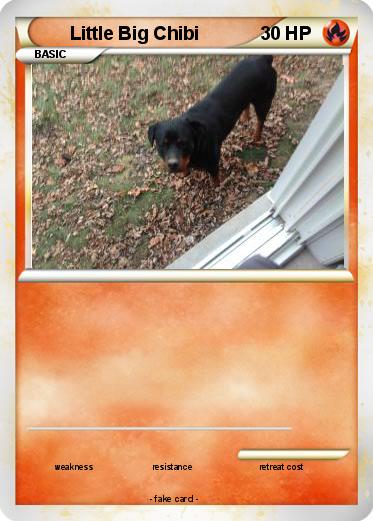 Pokemon Little Big Chibi