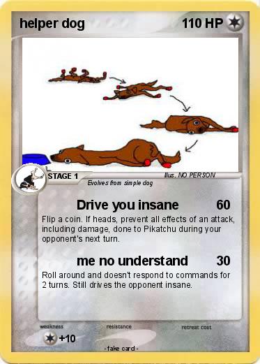 Pokemon helper dog