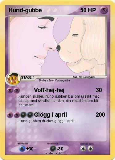 Pokemon Hund-gubbe