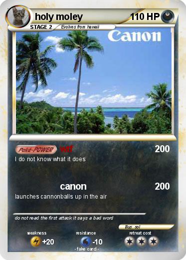 Pokemon holy moley