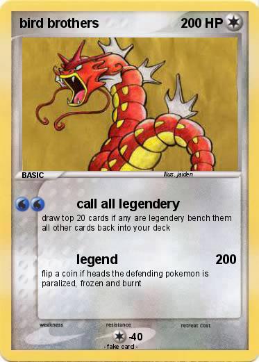 Pokemon bird brothers