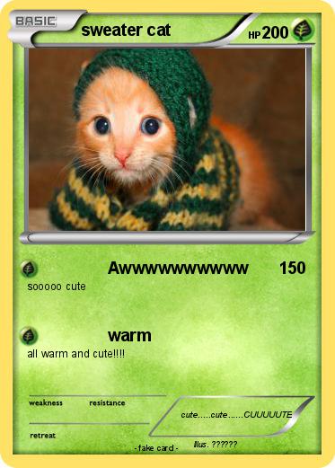 Pokemon sweater cat