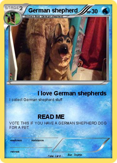 Pokemon German shepherd
