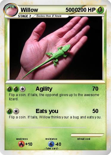 Pokemon Willow                  5000