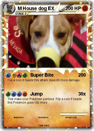 Pokemon M House dog EX